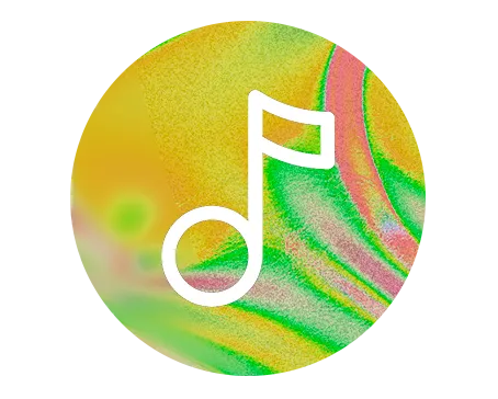 Celebra&ccedil;&atilde;o